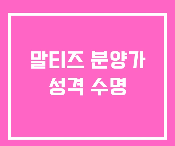 말티즈 분양가 성격 수명