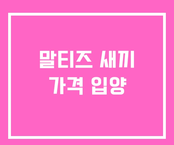 말티즈 새끼 가격 입양 말티즈 새끼 가격 입양