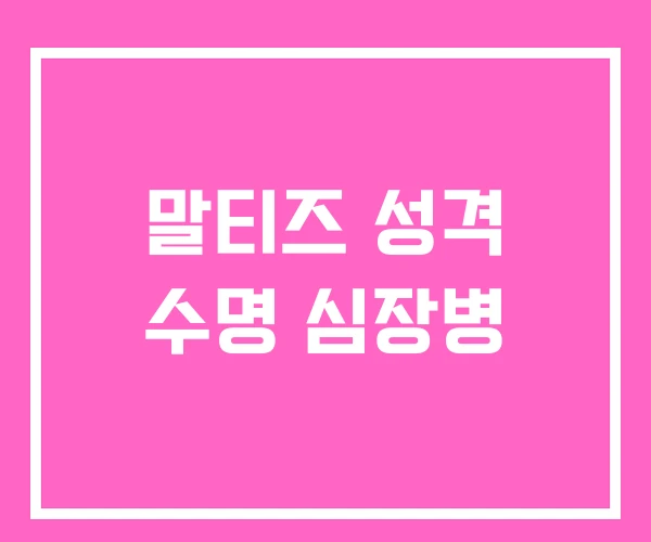 말티즈 성격 수명 심장병