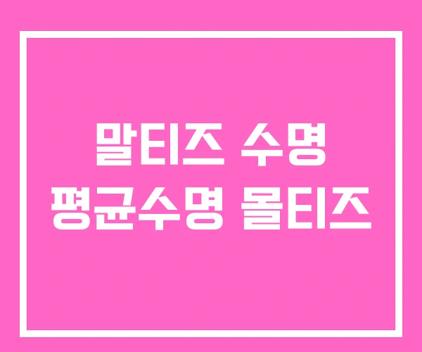 말티즈 수명 평균수명 몰티즈