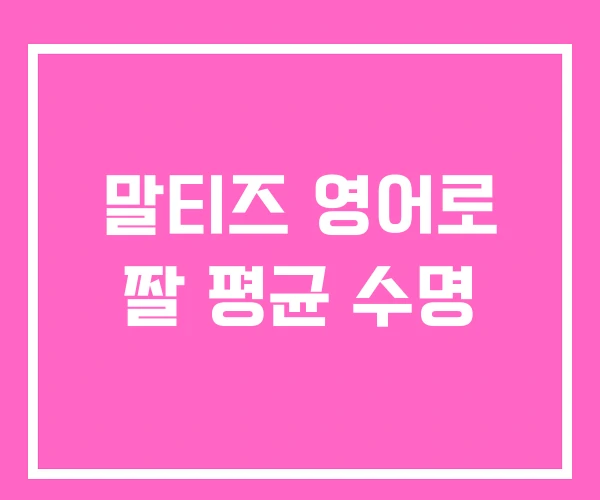 말티즈 영어로 짤 평균 수명