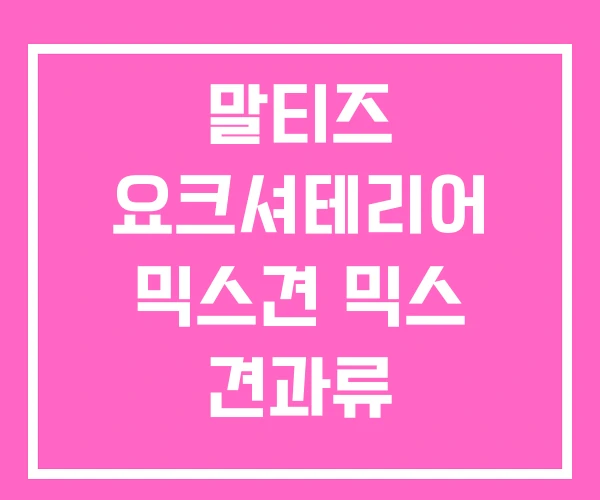 말티즈 요크셔테리어 믹스견 믹스 견과류