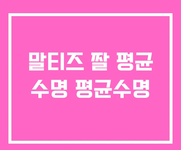 말티즈 짤 평균 수명 평균수명