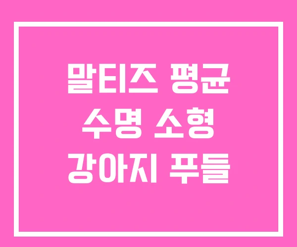 말티즈 평균 수명 소형 강아지 푸들