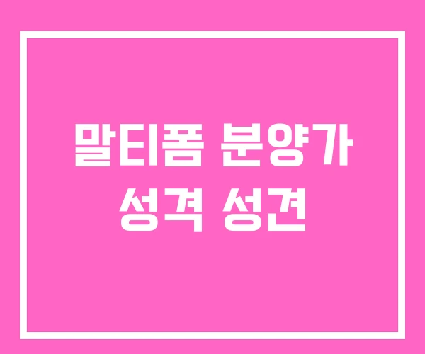 말티폼 분양가 성격 성견