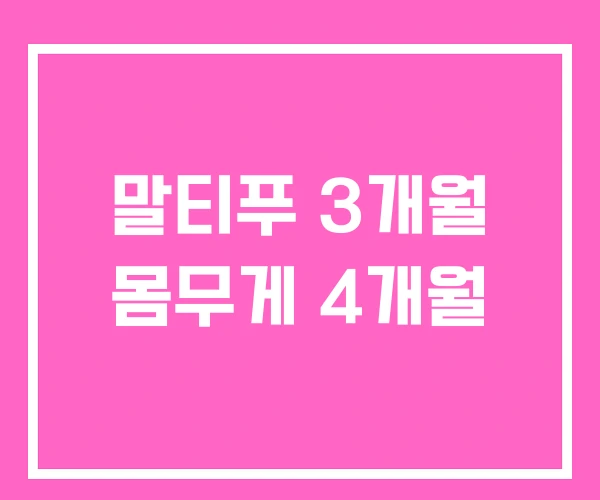 말티푸 3개월 몸무게 4개월