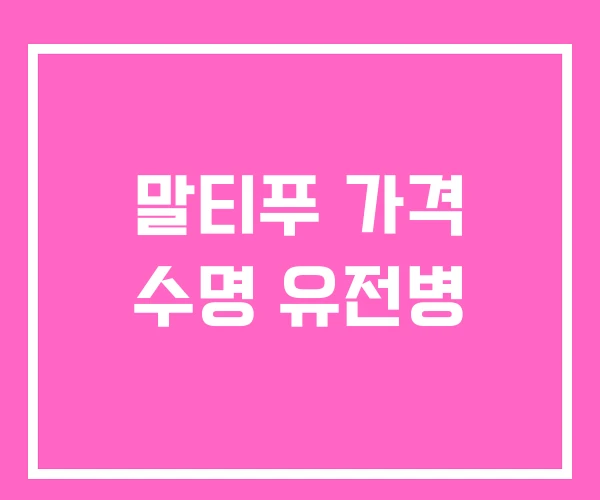 말티푸 가격 수명 유전병