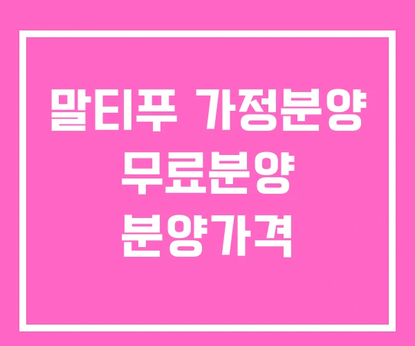 말티푸 가정분양 무료분양 분양가격