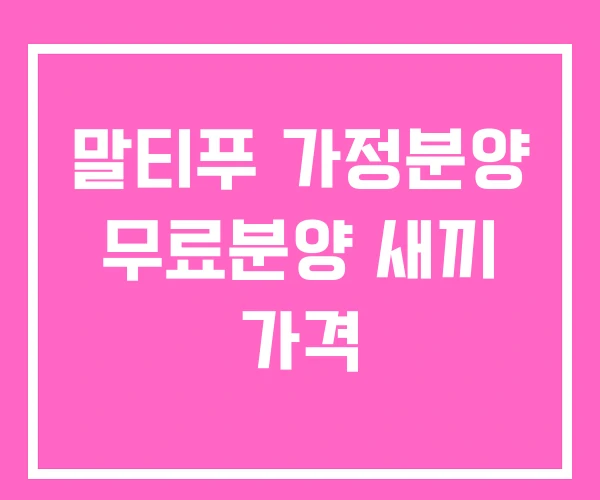 말티푸 가정분양 무료분양 새끼 가격 말티푸 가정분양 무료분양 새끼 가격