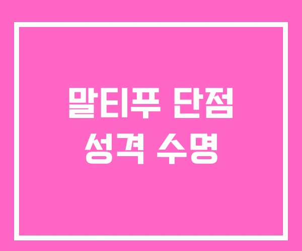 말티푸 단점 성격 수명