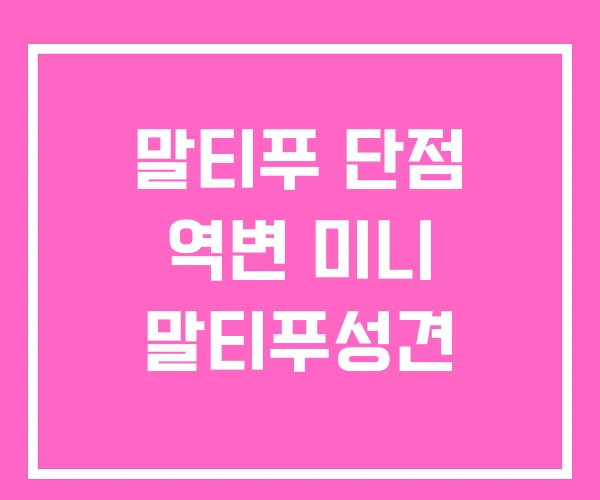 말티푸 단점 역변 미니 말티푸성견 말티푸 단점 역변 미니 말티푸성견