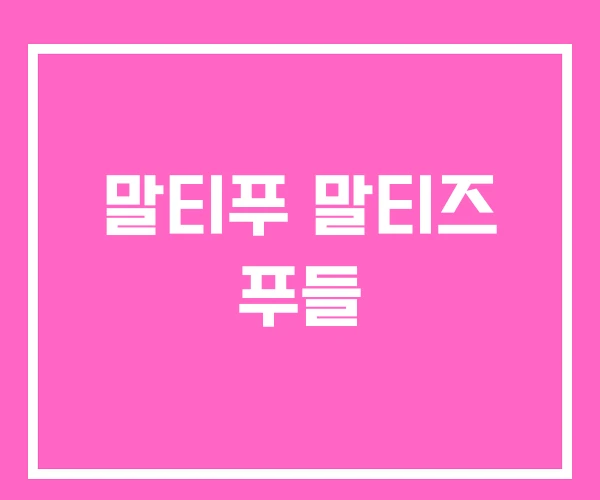 말티푸 말티즈 푸들