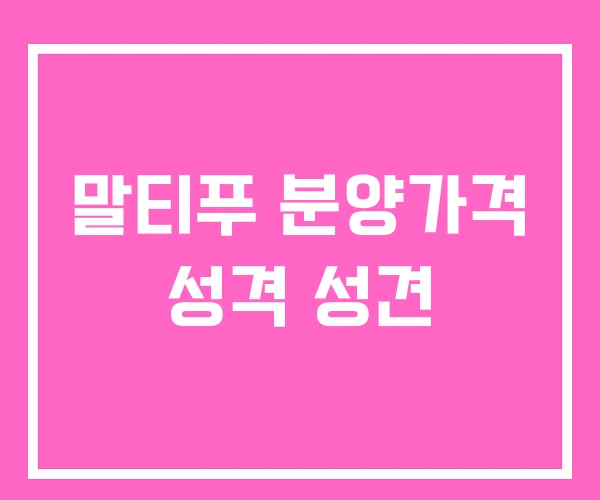 말티푸 분양가격 성격 성견