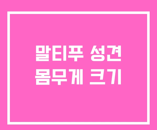 말티푸 성견 몸무게 크기