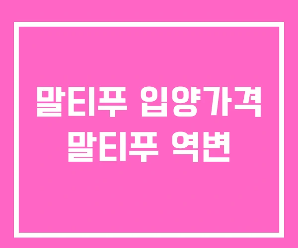 말티푸 입양가격 말티푸 역변