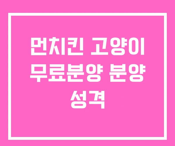 먼치킨 고양이 무료분양 분양 성격 먼치킨 고양이 무료분양 분양 성격