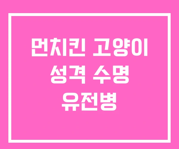 먼치킨 고양이 성격 수명 유전병 먼치킨 고양이 성격 수명 유전병