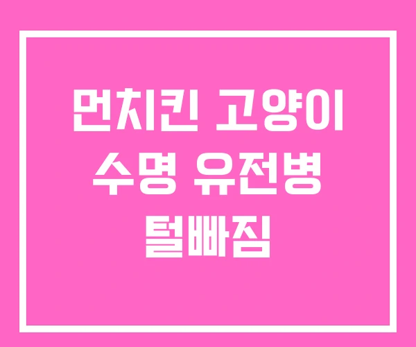 먼치킨 고양이 수명 유전병 털빠짐 먼치킨 고양이 수명 유전병 털빠짐