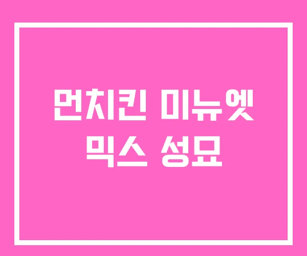 먼치킨 미뉴엣 믹스 성묘 먼치킨 미뉴엣 믹스 성묘