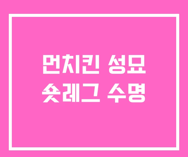 먼치킨 성묘 숏레그 수명 먼치킨 성묘 숏레그 수명