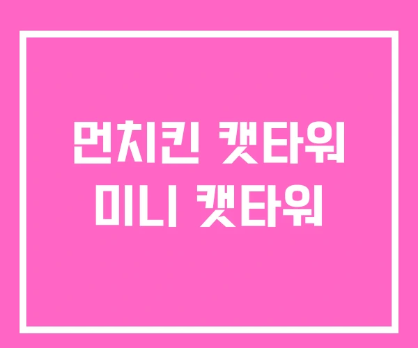 먼치킨 캣타워 미니 캣타워