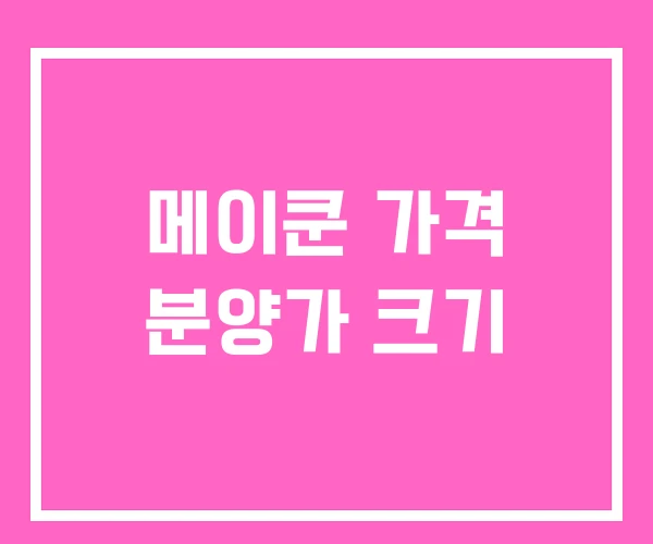 메이쿤 가격 분양가 크기