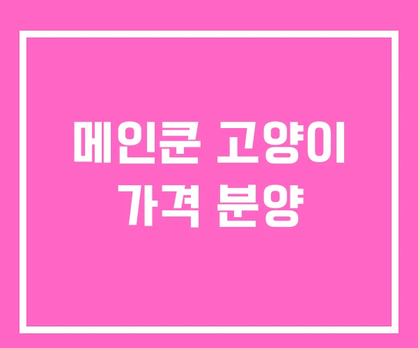 메인쿤 고양이 가격 분양 메인쿤 고양이 가격 분양