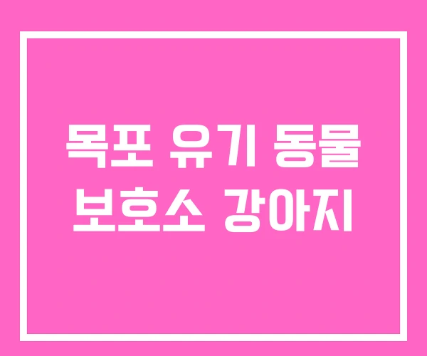 목포 유기 동물 보호소 강아지