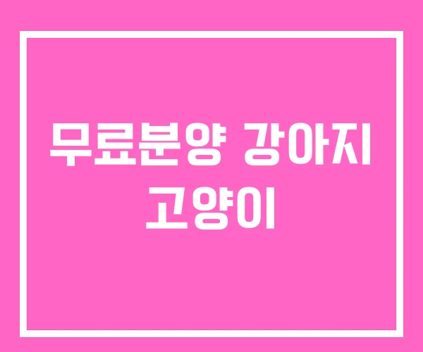 무료분양 강아지 고양이