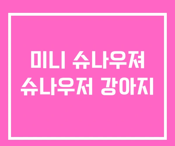 미니 슈나우져 슈나우저 강아지