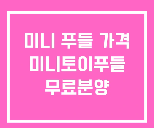 미니 푸들 가격 미니토이푸들 무료분양 미니 푸들 가격 미니토이푸들 무료분양