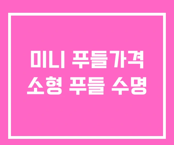 미니 푸들가격 소형 푸들 수명