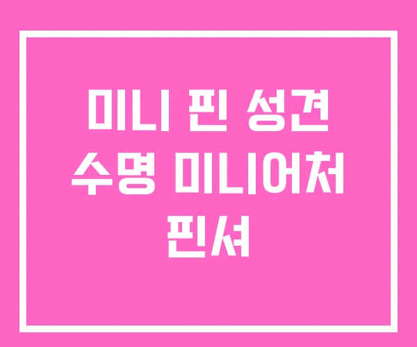 미니 핀 성견 수명 미니어처 핀셔