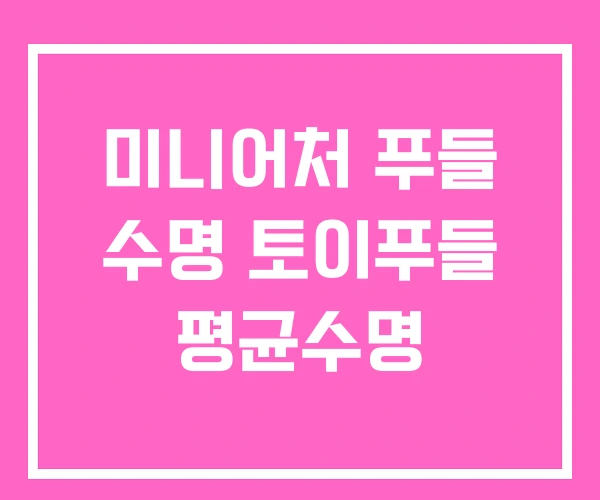 미니어처 푸들 수명 토이푸들 평균수명 미니어처 푸들 수명 토이푸들 평균수명