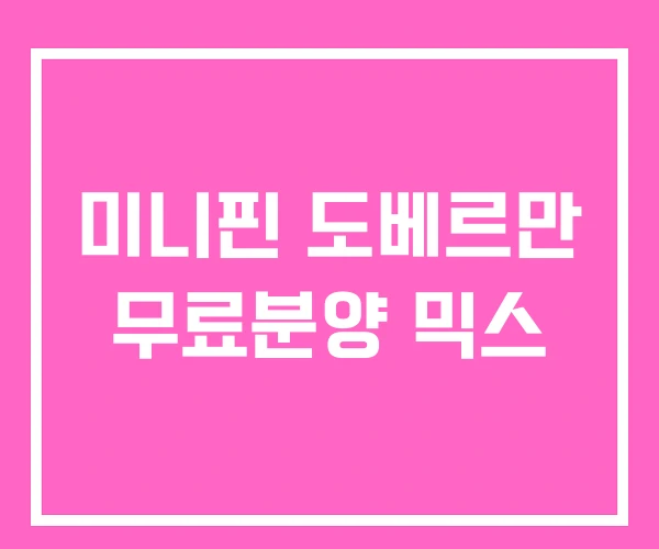 미니핀 도베르만 무료분양 믹스 미니핀 도베르만 무료분양 믹스