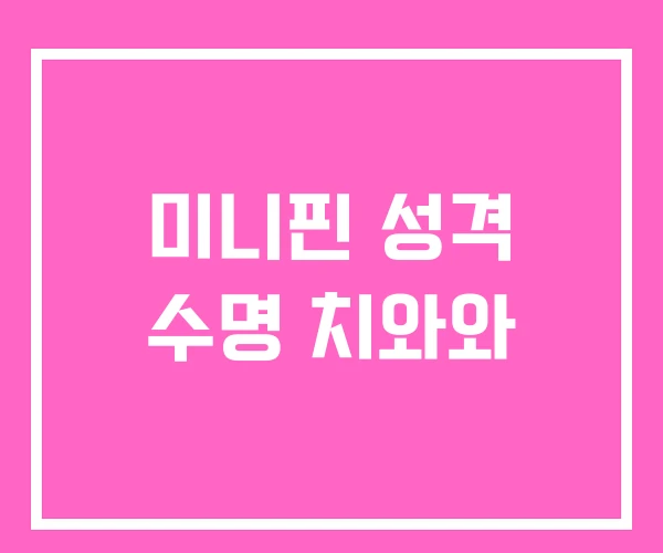 미니핀 성격 수명 치와와