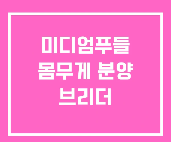 미디엄푸들 몸무게 분양 브리더