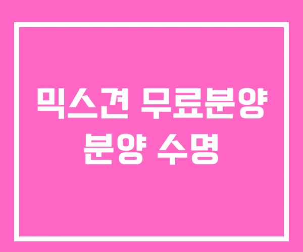 믹스견 무료분양 분양 수명