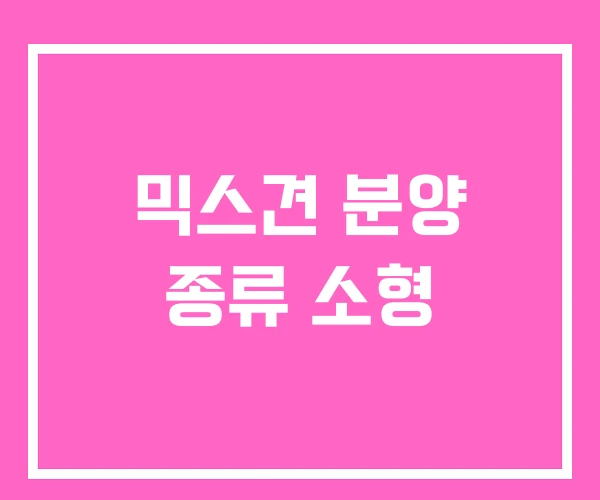 믹스견 분양 종류 소형