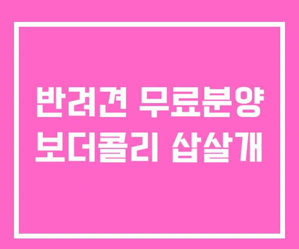 반려견 무료분양 보더콜리 삽살개
