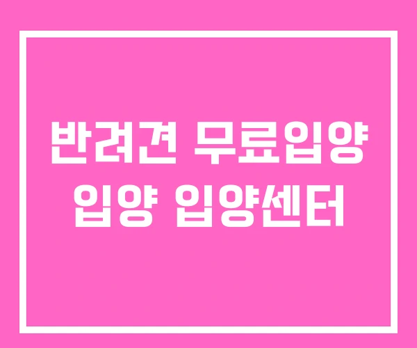 반려견 무료입양 입양 입양센터