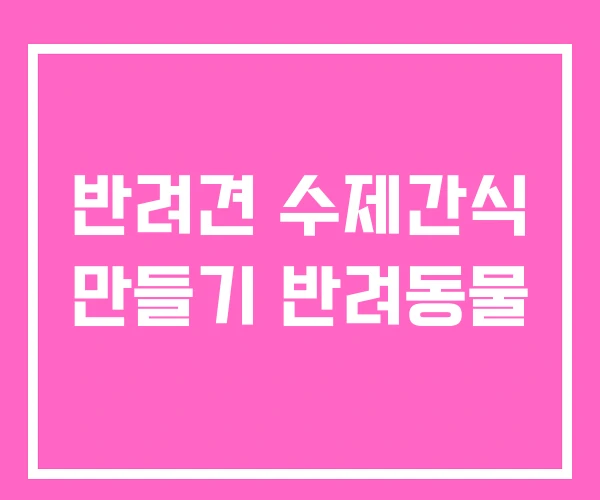 반려견 수제간식 만들기 반려동물