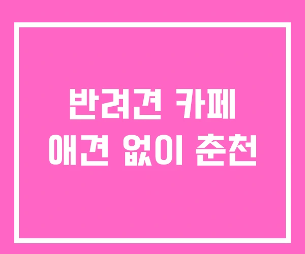 반려견 카페 애견 없이 춘천 반려견 카페 애견 없이 춘천
