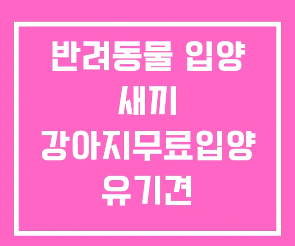 반려동물 입양 새끼 강아지무료입양 유기견