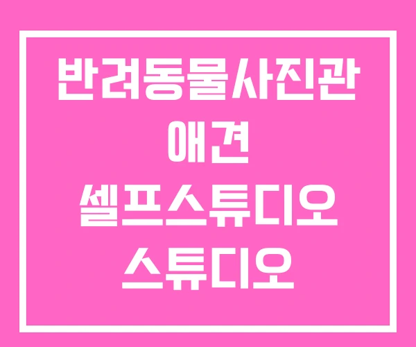 반려동물사진관 애견 셀프스튜디오 스튜디오 반려동물사진관 애견 셀프스튜디오 스튜디오