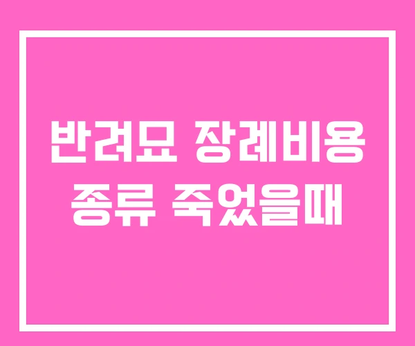반려묘 장례비용 종류 죽었을때 반려묘 장례비용 종류 죽었을때