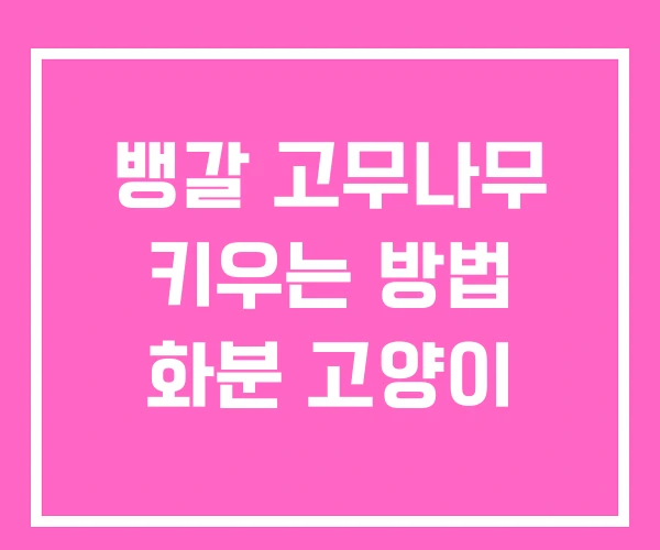 뱅갈 고무나무 키우는 방법 화분 고양이