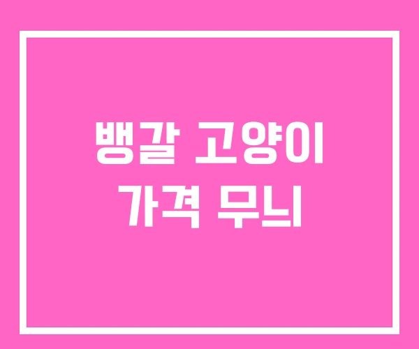 뱅갈 고양이 가격 무늬 뱅갈 고양이 가격 무늬