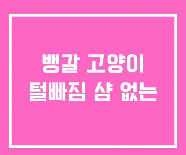 뱅갈 고양이 털빠짐 샴 없는