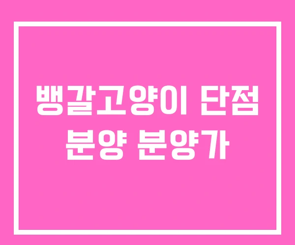 뱅갈고양이 단점 분양 분양가